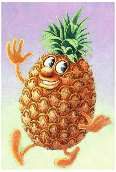 ananas